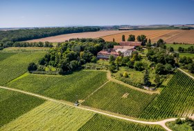 Ingelheimer Schloß Westerhaus Ingelheimer Schloß Westerhaus