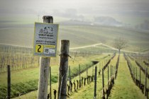 © Weingut Wagner © Weingut Wagner