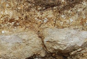 limestone rendzina limestone rendzina