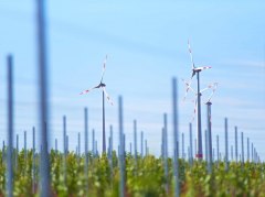 Windräder an den Weinbergen Windräder an den Weinbergen
