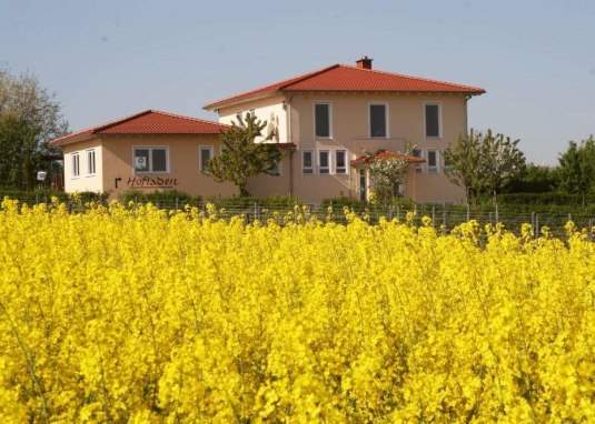Weingut Holz-Liebrich © Weingut Holz-Liebrich Weingut Holz-Liebrich © Weingut Holz-Liebrich