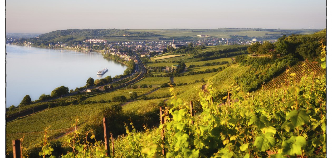 Weingut Wedekind_Panorama Hipping, © Weingut Wedekind Weingut Wedekind_Panorama Hipping, © Weingut Wedekind