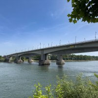 Mit Blick auf den Rhein Mit Blick auf den Rhein