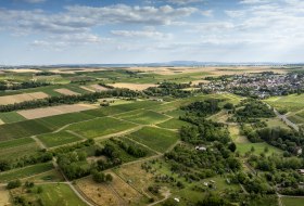 Partenheimer Sankt Georgen-024 Kopie Partenheimer Sankt Georgen-024 Kopie