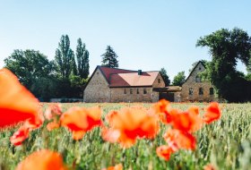 Meadow Mill Kettenheim © Mathi's meadow mill Meadow Mill Kettenheim © Mathi's meadow mill