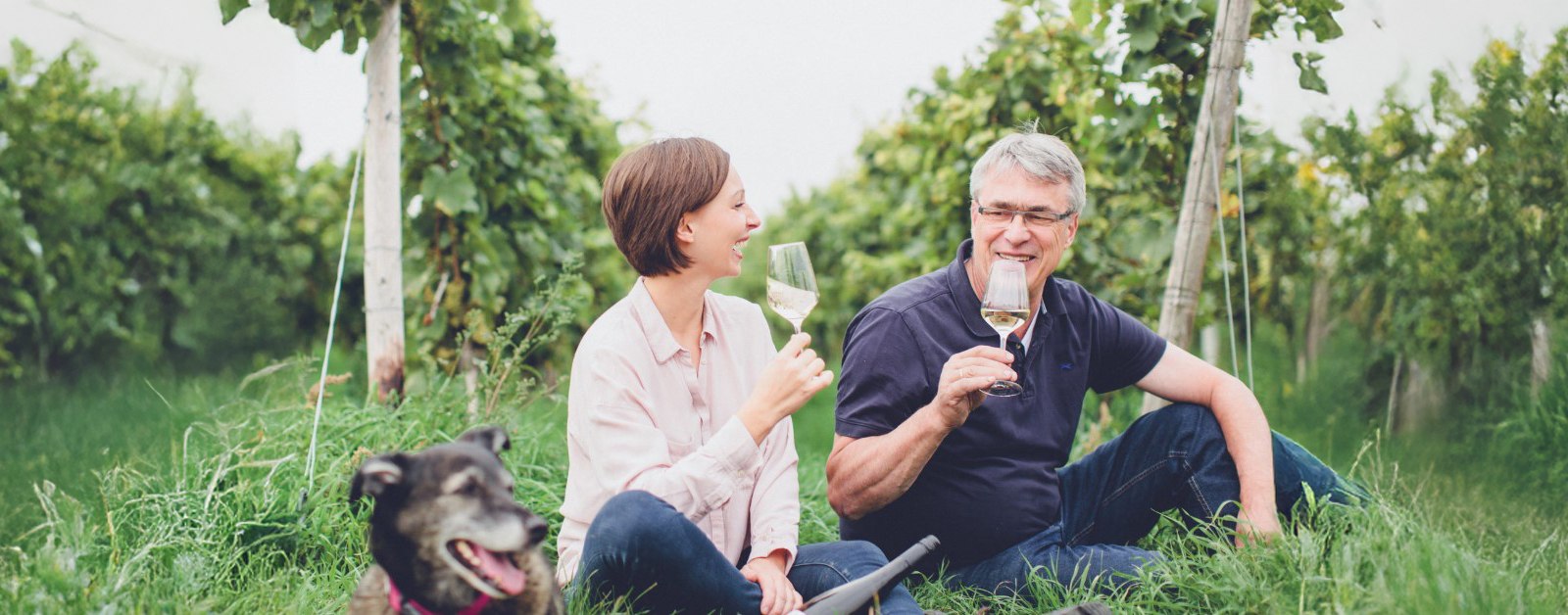 Weingut Hauck Kopie Weingut Hauck Kopie