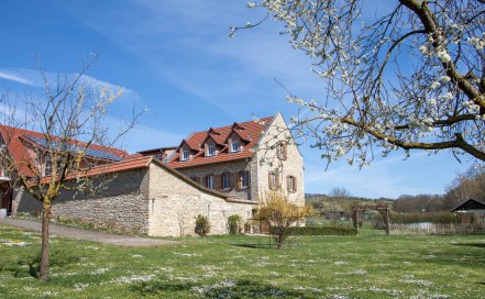 rheinhessen-obstroute-westschleife-12 rheinhessen-obstroute-westschleife-12