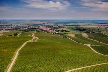 Selzener Osterberg Selzener Osterberg