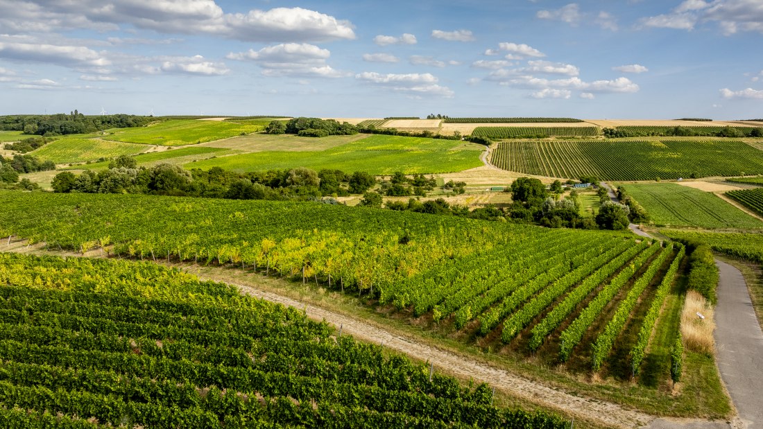Partenheimer Sankt Georgen-100 Kopie Partenheimer Sankt Georgen-100 Kopie