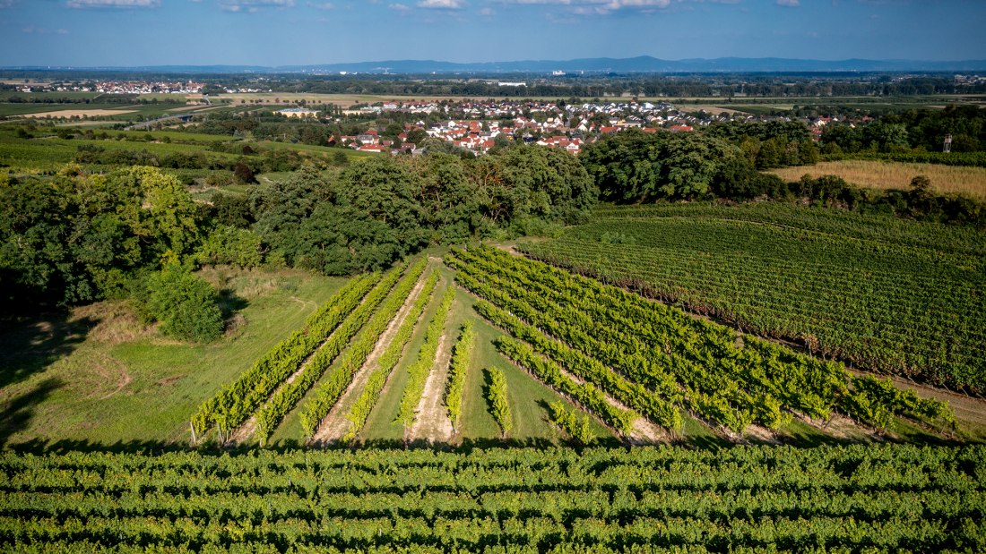 Alsheimer Frühmesse Alsheimer Frühmesse