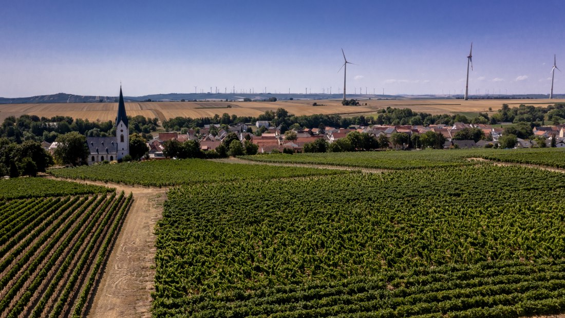 Gabsheimer Rosengarten Gabsheimer Rosengarten