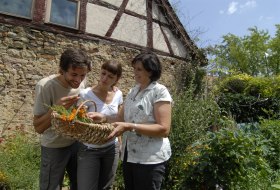 Kräutergarten Erb-Frey-Hof © Uwe Feuerbach/Rheinhessen-Touristik Kräutergarten Erb-Frey-Hof © Uwe Feuerbach/Rheinhessen-Touristik