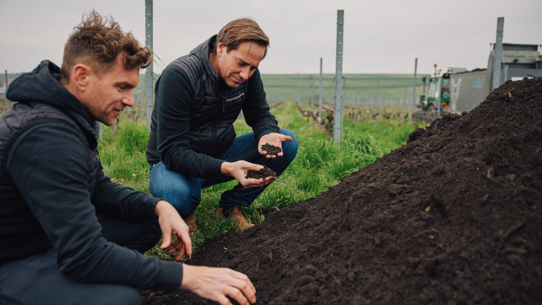 Weingut Dreissigacker_Biodynamie, © Weingut Dreissigacker Weingut Dreissigacker_Biodynamie, © Weingut Dreissigacker