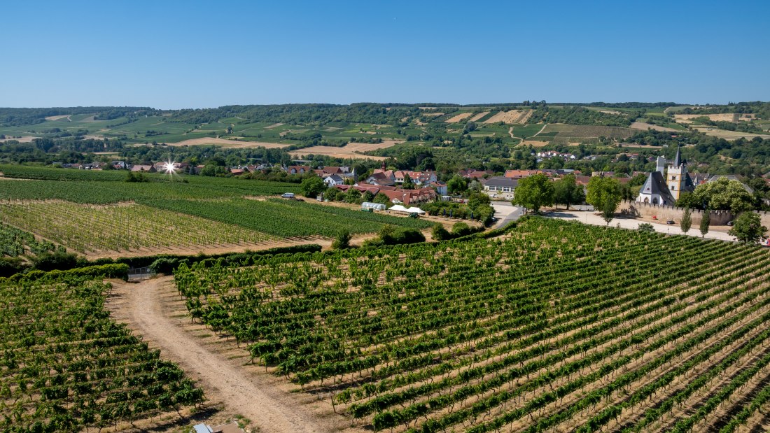Ingelheimer Burgberg-085 Kopie, © Torsten Silz Ingelheimer Burgberg-085 Kopie, © Torsten Silz
