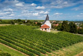 Mölsheimer Zellerweg am Schwarzen Herrgott Mölsheimer Zellerweg am Schwarzen Herrgott