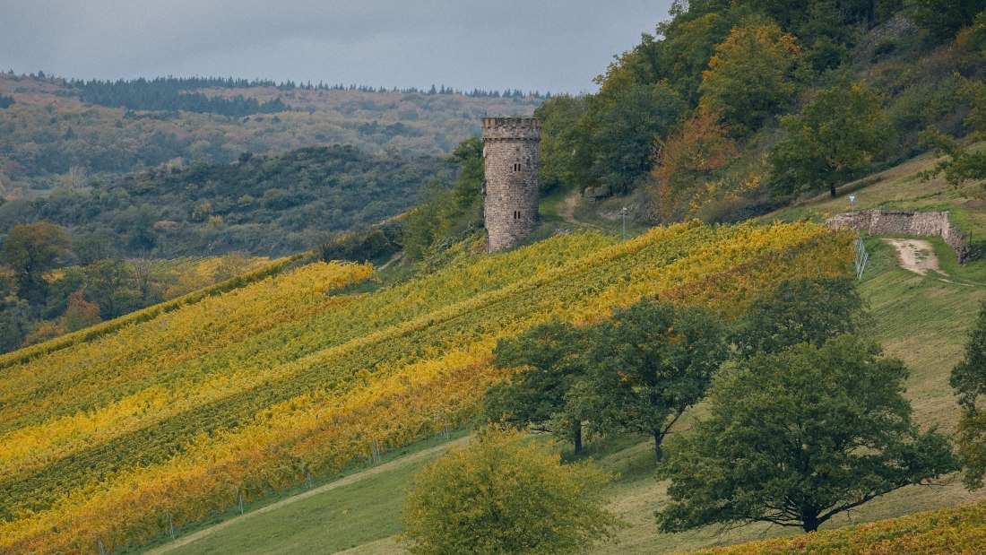 Wagner_Stempel_HEERKRETZ_mitAjaxTurm_©PeterBender_604, © Peter Bender Wagner_Stempel_HEERKRETZ_mitAjaxTurm_©PeterBender_604, © Peter Bender