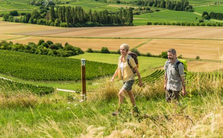 Wandern auf der Hiwweltour Stadecker Warte, © © Dominik Ketz Wandern auf der Hiwweltour Stadecker Warte, © © Dominik Ketz