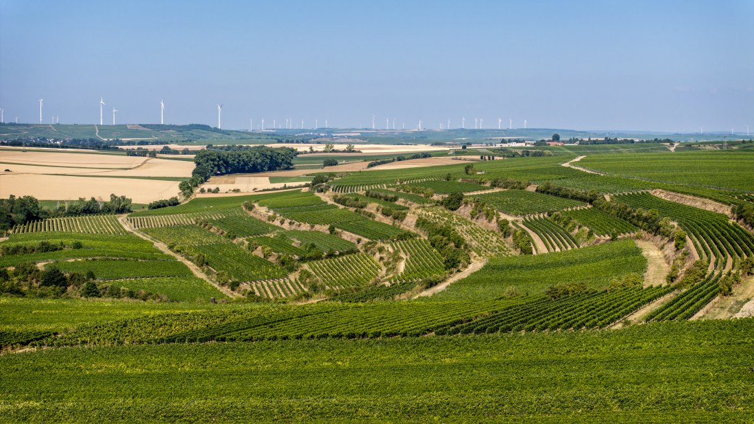 Alsheimer Römerberg, © Torsten Silz Alsheimer Römerberg, © Torsten Silz