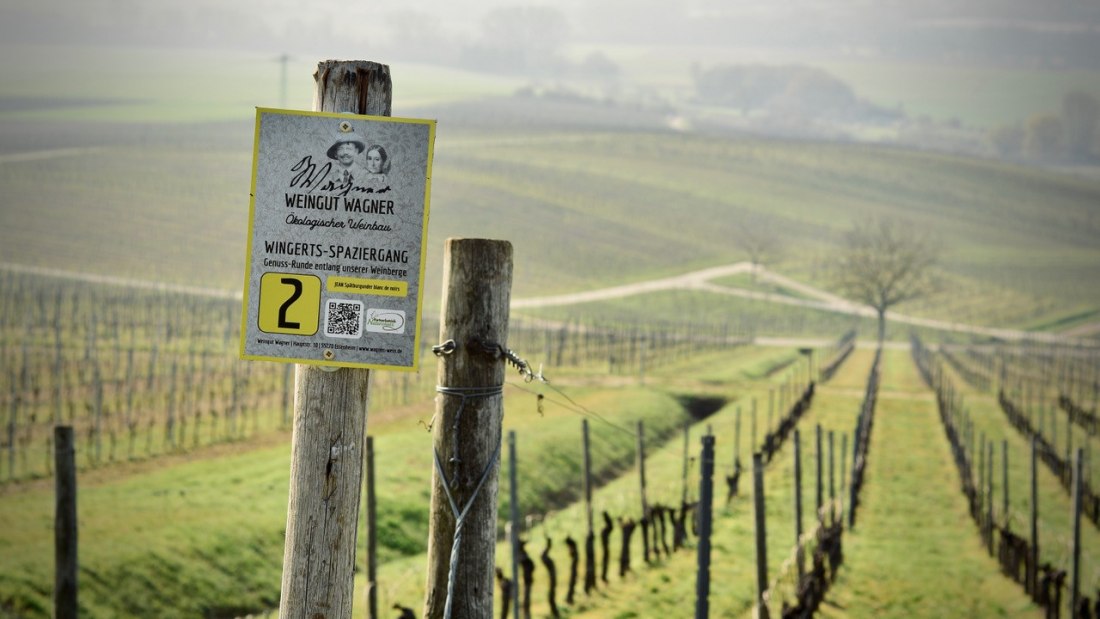 © Weingut Wagner © Weingut Wagner
