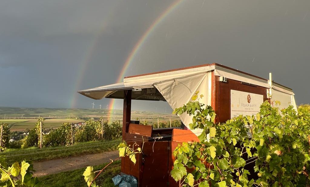 PHOTO-2023-09-22-21-00-19, © Weingut Barth PHOTO-2023-09-22-21-00-19, © Weingut Barth