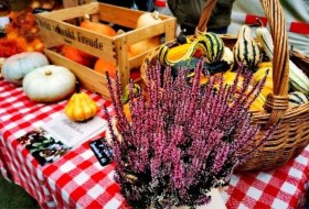 Herbstmarkt in Dexheim © Marina Noble Herbstmarkt in Dexheim © Marina Noble