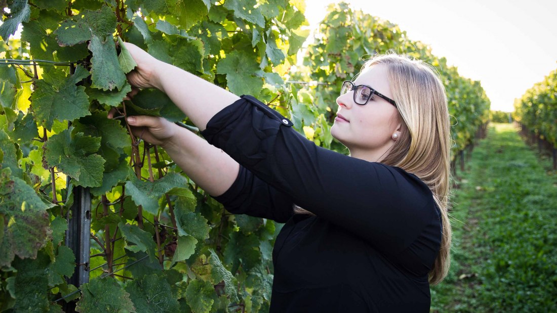 jana-kopp, © Weingut Sternenfelserhof jana-kopp, © Weingut Sternenfelserhof