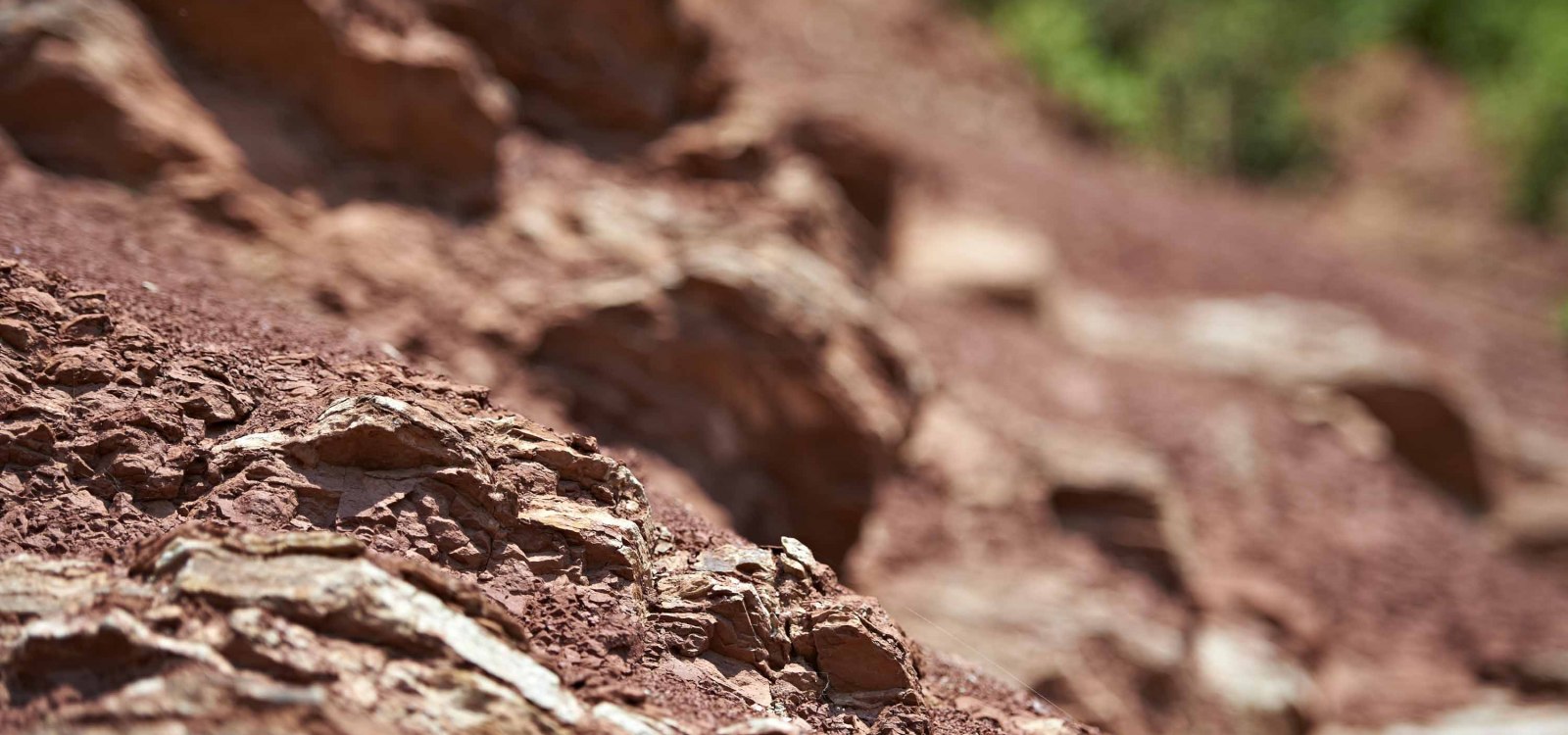 Red clay rigosol Red clay rigosol