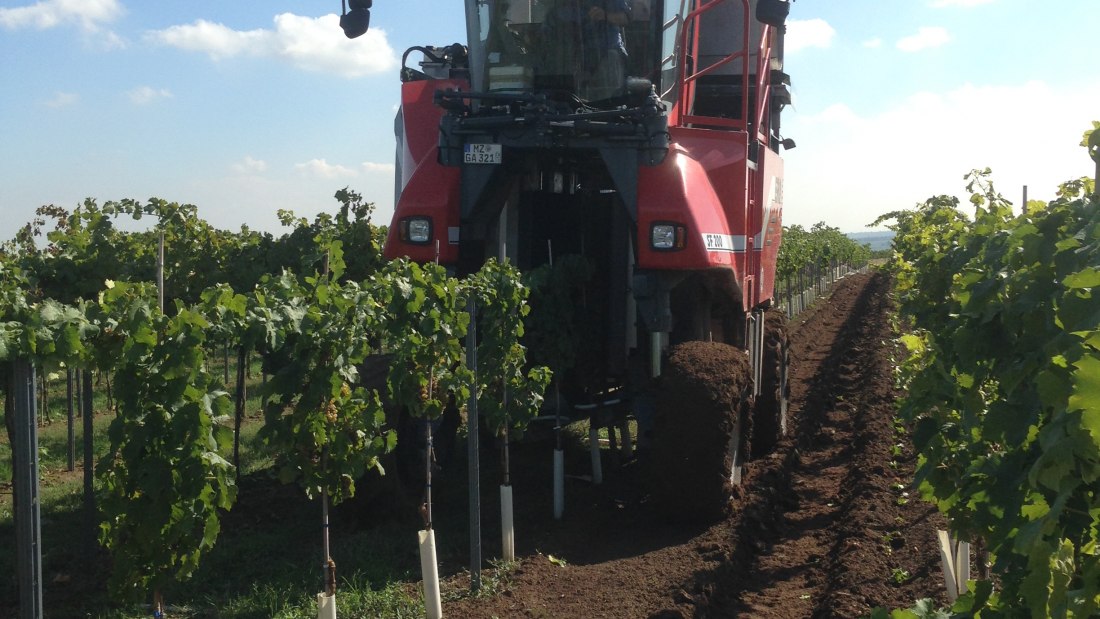 Vollernter Ernte, © Weinmanu Vollernter Ernte, © Weinmanu