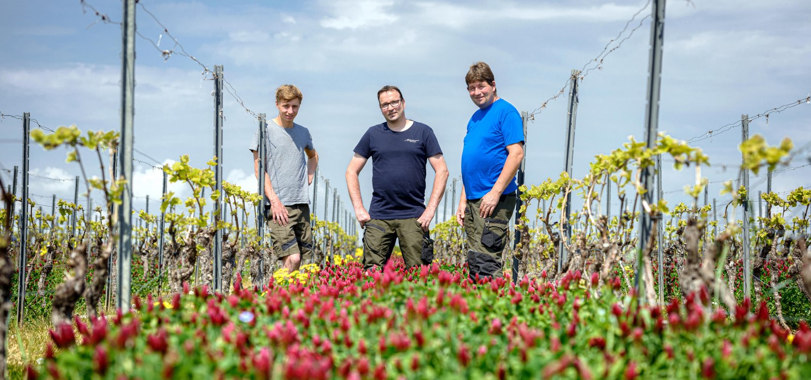 Weingut-Hemer_ND8_7852-min, © Weingut Hemer Weingut-Hemer_ND8_7852-min, © Weingut Hemer