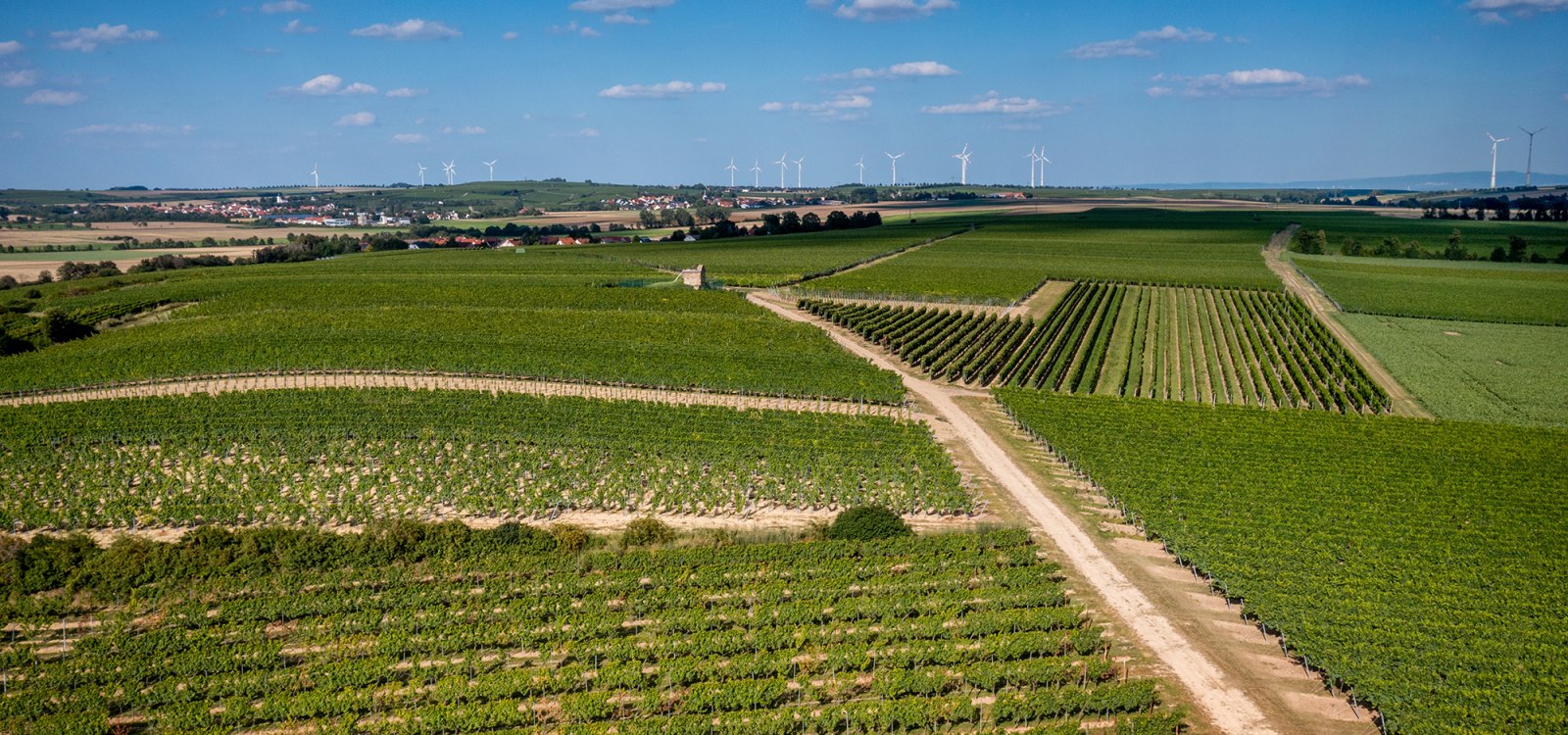 Dittelsheimer Leckerberg Dittelsheimer Leckerberg
