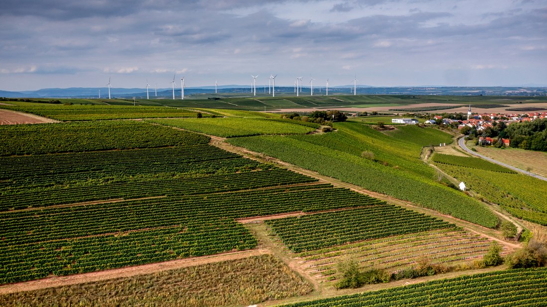 Uffhofener La Roche Uffhofener La Roche