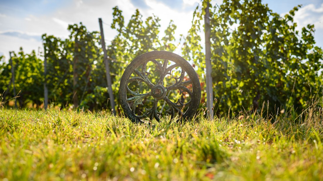 Weingut Köster-Wolf_Weinberg, © Weingut Köster-Wolf Weingut Köster-Wolf_Weinberg, © Weingut Köster-Wolf