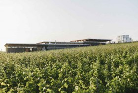 Weingut Dreissigacker © Weingut Dreissigacker Weingut Dreissigacker © Weingut Dreissigacker