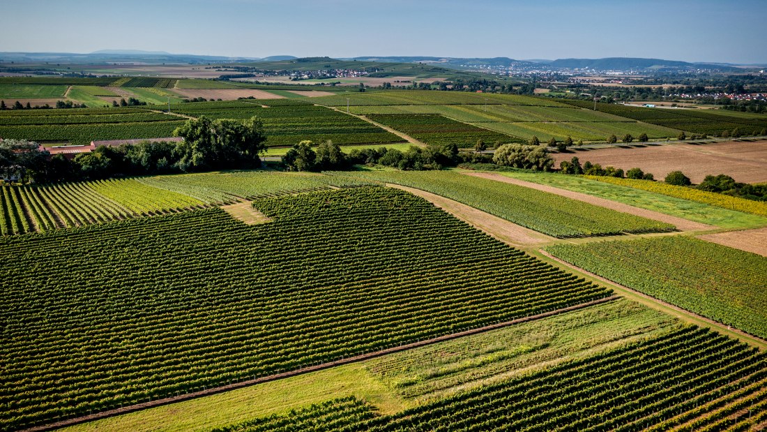 Gensinger Goldberg Gensinger Goldberg