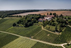 Weinlage Schloss Westerhaus © Torsten Silz Weinlage Schloss Westerhaus © Torsten Silz
