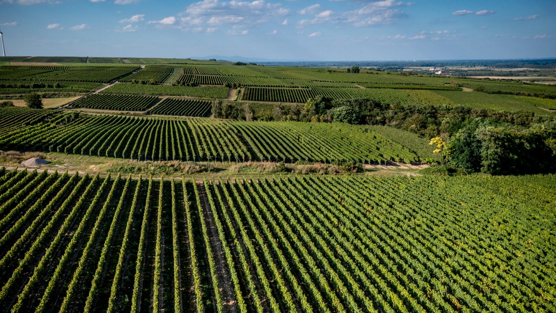 Alsheimer Frühmesse Alsheimer Frühmesse