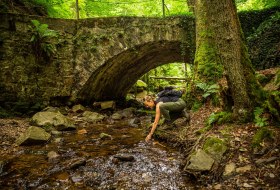 Morgenbachtal mit Brücke © Mahlow Media Winningen Morgenbachtal mit Brücke © Mahlow Media Winningen