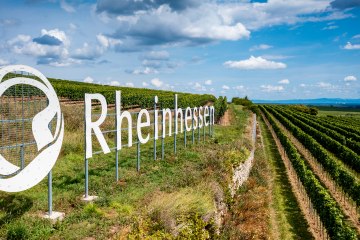 Gundersheimer Höllenbrand Gundersheimer Höllenbrand