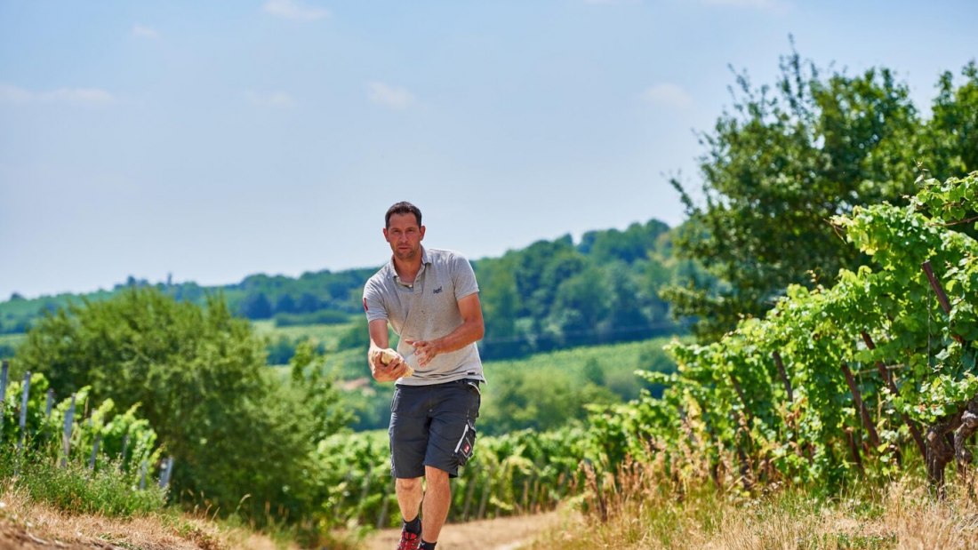 Weingut Manz_Winzer, © Weingut Manz Weingut Manz_Winzer, © Weingut Manz