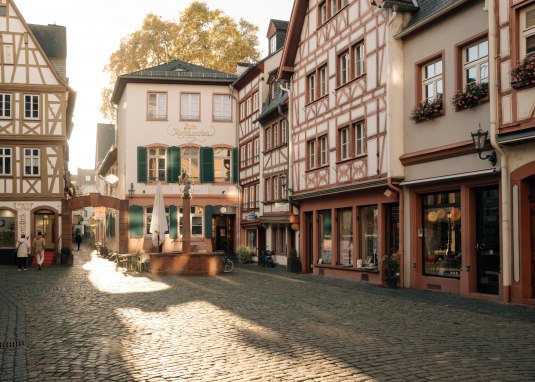 Kirschgarten Altstadt © Rheinland-Pfalz Tourismus GmbH_Dominik Ketz Kirschgarten Altstadt © Rheinland-Pfalz Tourismus GmbH_Dominik Ketz