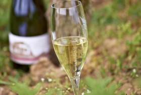 sparkling wine sparkling wine