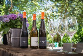 foto_weinflaschen foto_weinflaschen