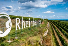 Gundersheimer Höllenbrand Gundersheimer Höllenbrand