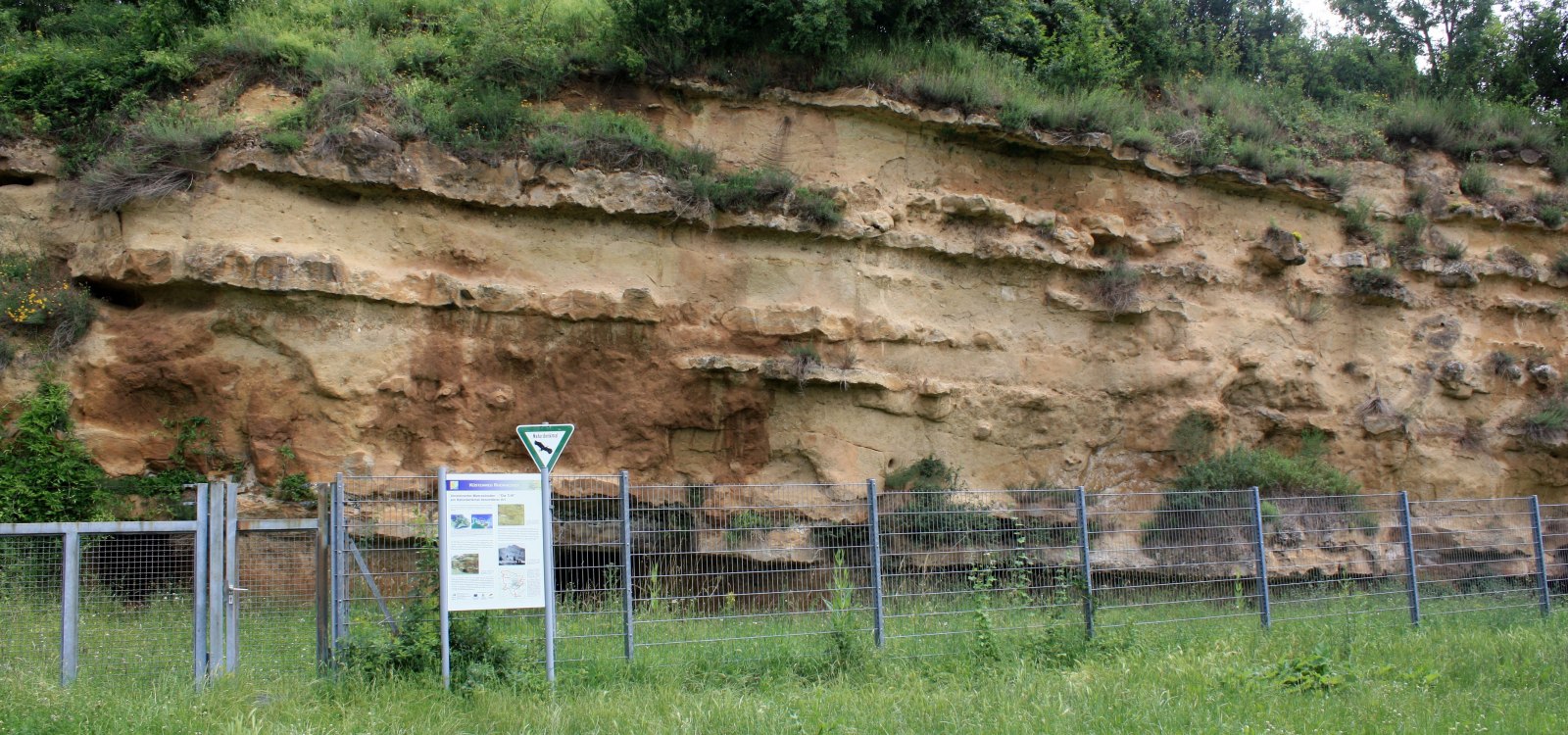 Weinheimer Trift, © Tourist Information Alzeyer Land und Rheinhessische Schweiz Weinheimer Trift, © Tourist Information Alzeyer Land und Rheinhessische Schweiz
