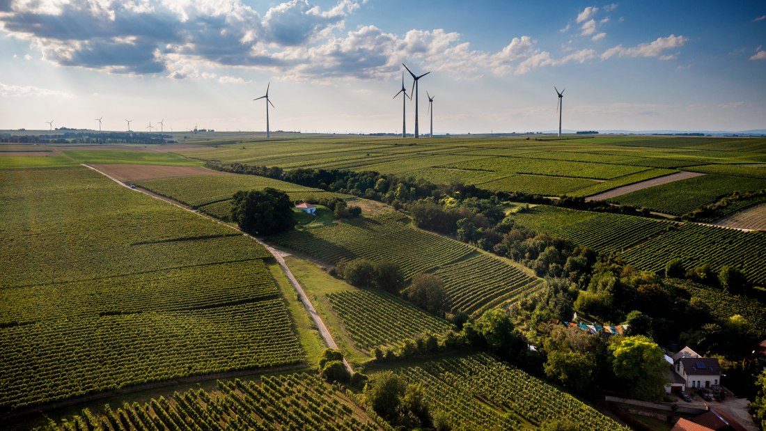 Alsheimer Fischerpfad Alsheimer Fischerpfad