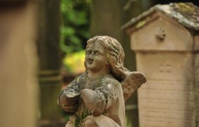 Detail jüdischer Friedhof im Ortsteil Dalsheim © VG Monsheim/Fotograf Carsten Costard Detail jüdischer Friedhof im Ortsteil Dalsheim © VG Monsheim/Fotograf Carsten Costard