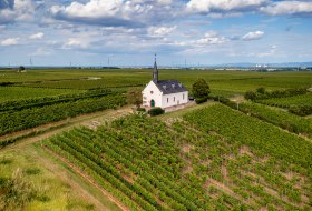 Abenheimer Klausenberg © Torsten Silz Abenheimer Klausenberg © Torsten Silz