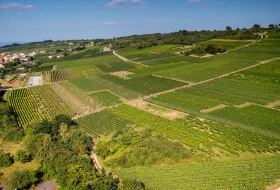 Ingelheimer Höllenweg Ingelheimer Höllenweg