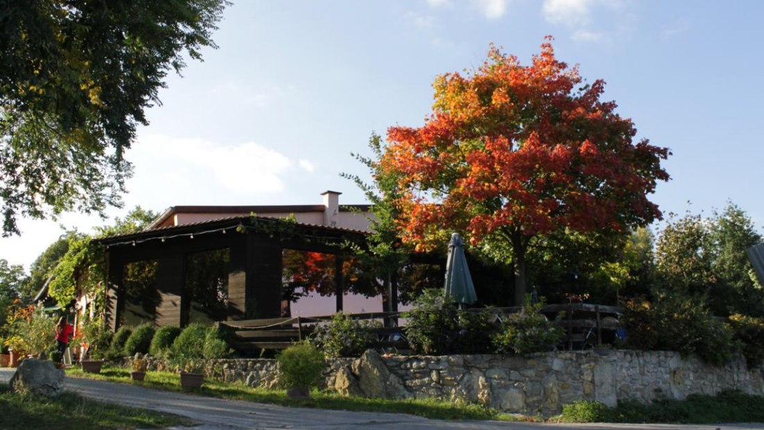 Weingut Rheinterrassenhof_Außen, © Weingut Rheinterrassenhof Weingut Rheinterrassenhof_Außen, © Weingut Rheinterrassenhof