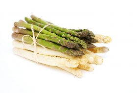 shutterstock shutterstock